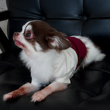 EMMAドッキングプルオーバー /100% Made in Japan