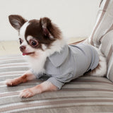 EMMAフォーマルストレッチカットソー /100% Made in Japan