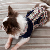 EMMAスエードタッチクラシカルVネック /100% Made in Japan