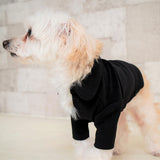 EMMAフォーマルストレッチカットソー /100% Made in Japan