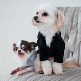 EMMAフォーマルストレッチカットソー /100% Made in Japan