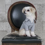 EMMAフォーマルストレッチカットソー /100% Made in Japan