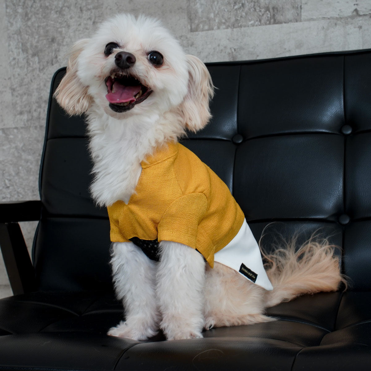 DOGS WEAR│EMMARICH Online Boutique（エマリッチ オンライン