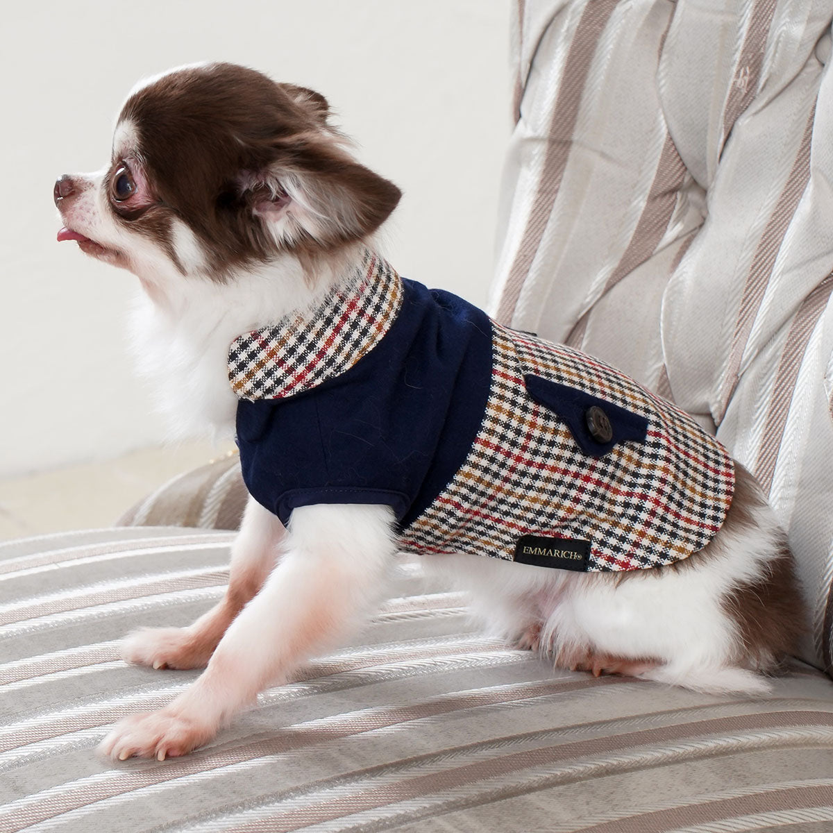 えみ様☆犬服☆ハンドメイド✩.*˚ 日本製】EMMAスエードタッチクラシカルVネック ネイビー×チェック柄