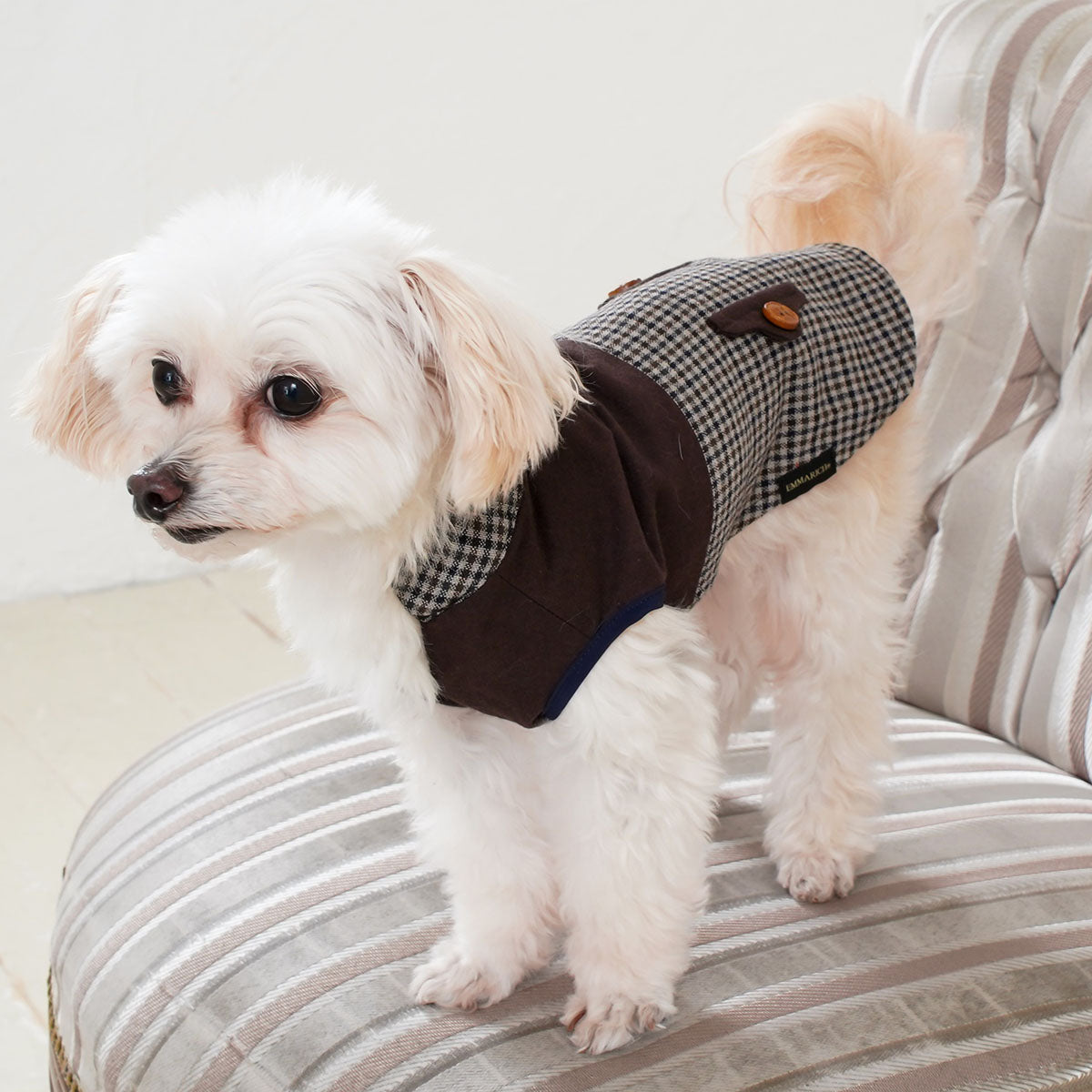 ナチュラル＆クラシカル　ペチコートワンピつけ襟付き　新色登場♡　犬服ハンドメイド DOGS WEAR│EMMARICH Online Boutique（エマリッチ オンライン
