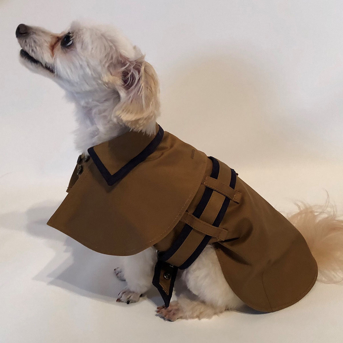 ナチュラル＆クラシカル　ペチコートワンピつけ襟付き　新色登場♡　犬服ハンドメイド DOGS WEAR│EMMARICH Online Boutique（エマリッチ オンライン